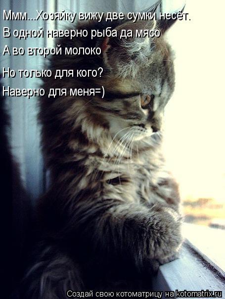 Котоматрица: Ммм...Хозяйку вижу две сумки несёт. В одной наверно рыба да мясо А во второй молоко Но только для кого? Наверно для меня=)