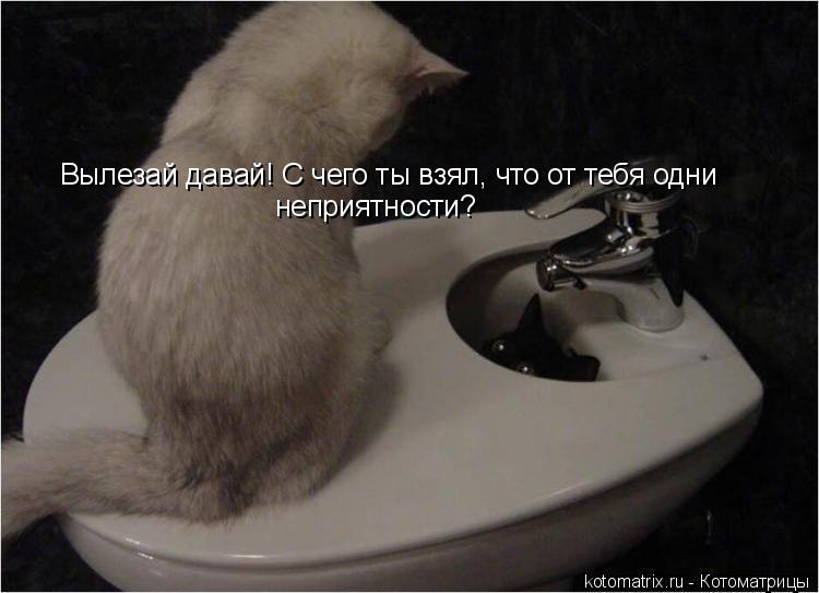Котоматрица: Вылезай давай! С чего ты взял, что от тебя одни неприятности?