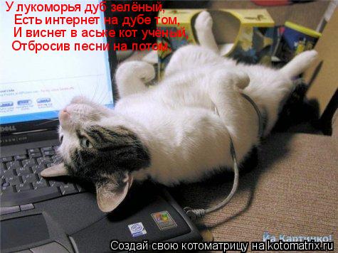 Котоматрица: У лукоморья дуб зелёный, Есть интернет на дубе том, И виснет в аське кот учёный, Отбросив песни на потом.