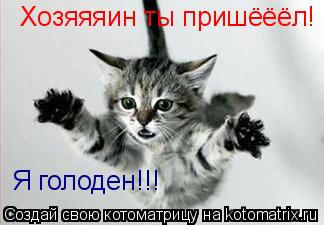 Котоматрица: Хозяяяин ты пришёёёл! Я голоден!!!