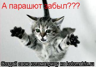 Котоматрица: А парашют забыл???