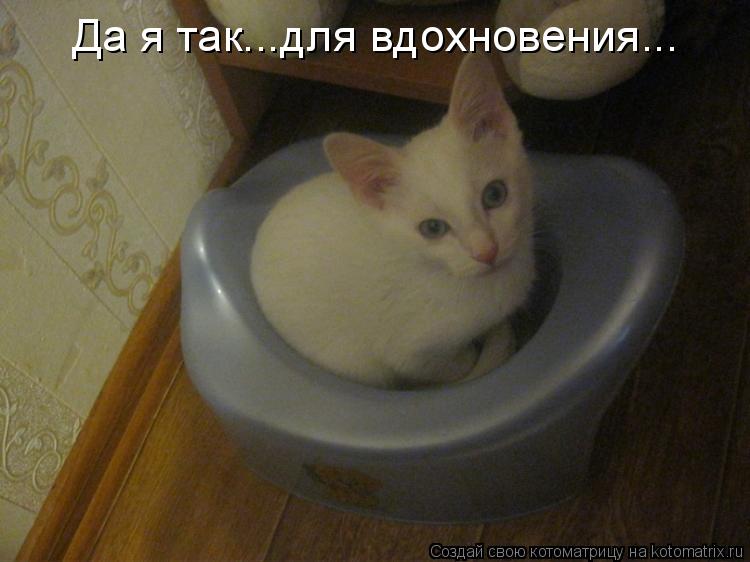 Котоматрица: Да я так...для вдохновения...