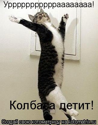 Котоматрица: Уррррррррррраааааааа! Колбаса летит!