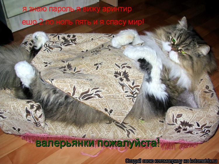 Котоматрица: я знаю пароль я вижу аринтир  ешо 2 по ноль пять и я спасу мир! валерьянки пожалуйста!