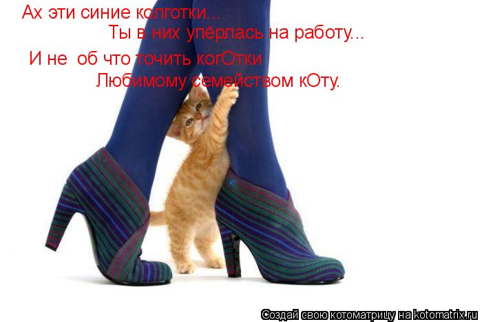 Котоматрица: Ах эти синие колготки... Ты в них упёрлась на работу... И не  об что точить когОтки Любимому семейством кОту.