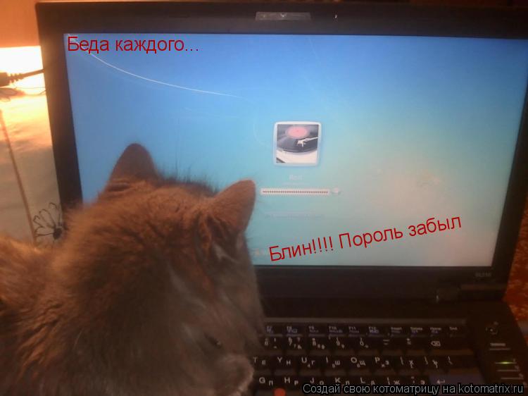 Котоматрица: Блин!!!! Пороль забыл Беда каждого...