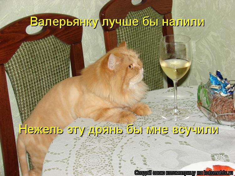 Котоматрица: Валерьянку лучше бы налили Нежель эту дрянь бы мне всучили