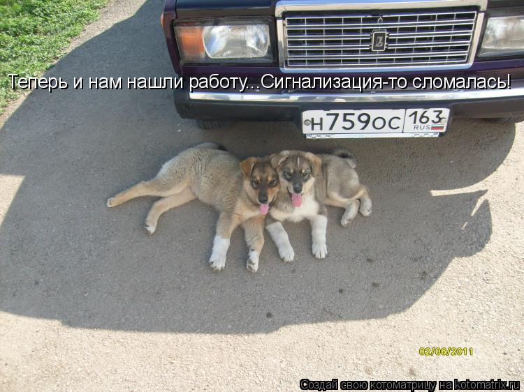 Котоматрица: Теперь и нам нашли работу... Теперь и нам нашли работу... Теперь и нам нашли работу...Сигнализация-то сломалась!