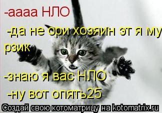 Котоматрица: -аааа НЛО -да не ори хозяин эт я мурзик рзик -знаю я вас НЛО -ну вот опять25
