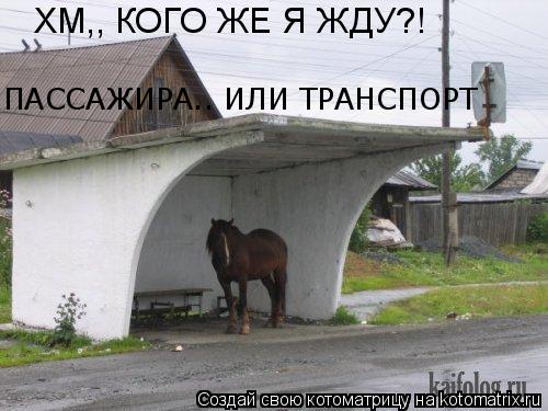 Котоматрица: ХМ,, КОГО ЖЕ Я ЖДУ?! ПАССАЖИРА.. ИЛИ ТРАНСПОРТ