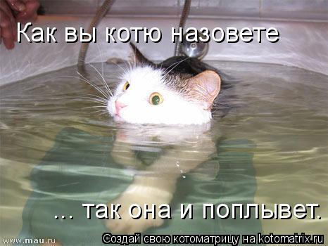 Котоматрица: Как вы котю назовете ... так она и поплывет.
