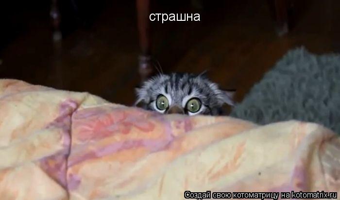 Котоматрица: страшна
