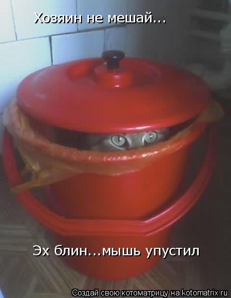 Котоматрица: Хозяин не мешай... Эх блин...мышь упустил