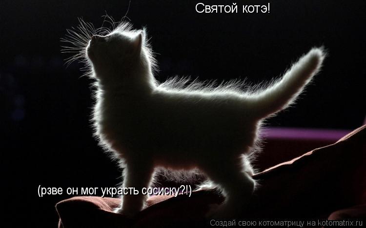 Котоматрица: Святой котэ! (рзве он мог украсть сосиску?!)