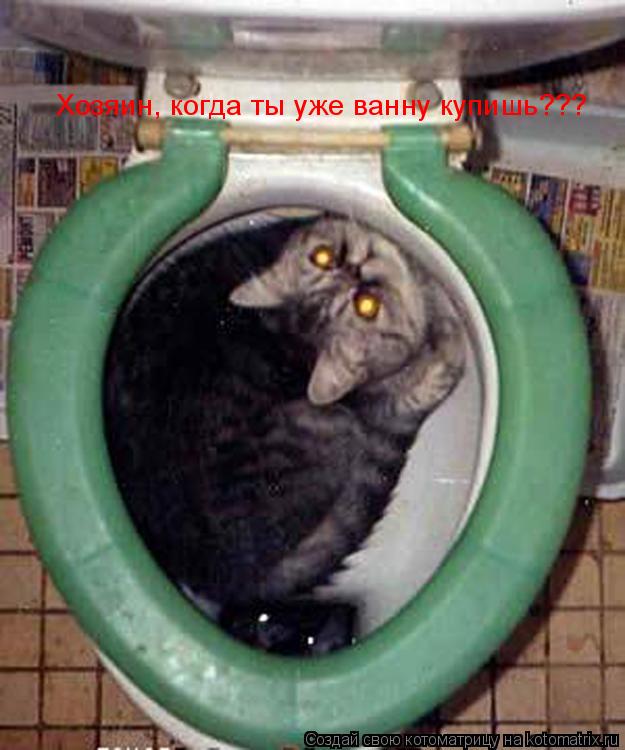 Котоматрица: Хозяин, когда ты уже ванну купишь???