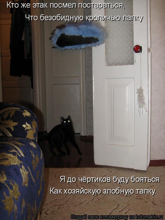 Котоматрица: Что безобидную кроличью лапку Как хозяйскую злобную тапку. Я до чёртиков буду бояться Кто же этак посмел постараться,