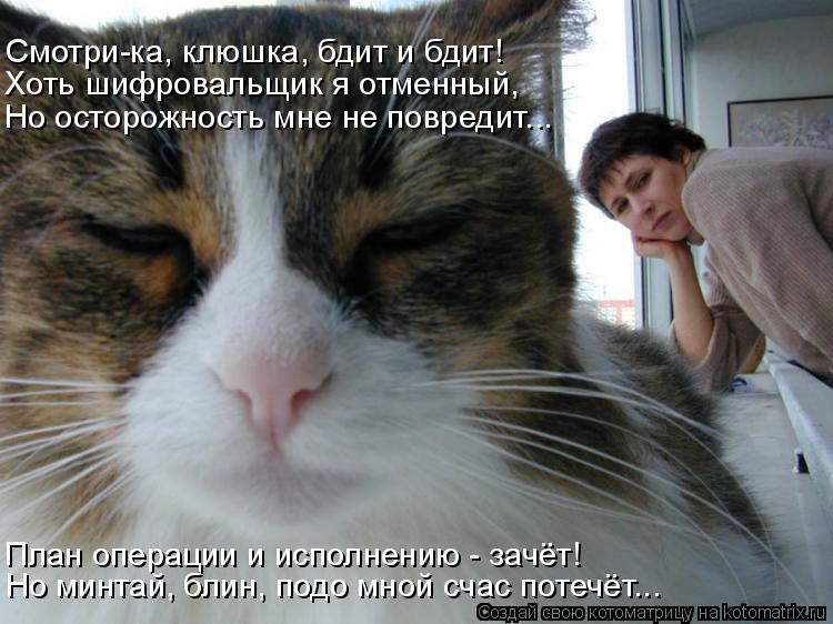 Хоть шифровальщик я отменный, Но осторожность мне не повредит... Смотри-ка, клюшка, бдит и бдит! План... Котоматрица: Хоть шифровальщик я отменный, Но осторожность мне не повредит... Смотри-ка, клюшка, бдит и бдит! План операции и исполнению - зачёт! Но минтай,