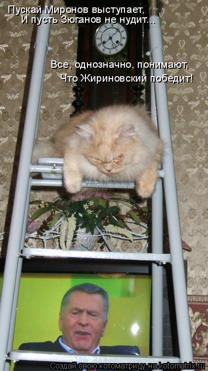 Котоматрица: Пускай Миронов выступает, И пусть Зюганов не нудит... Все, однозначно, понимают, Что Жириновский победит!