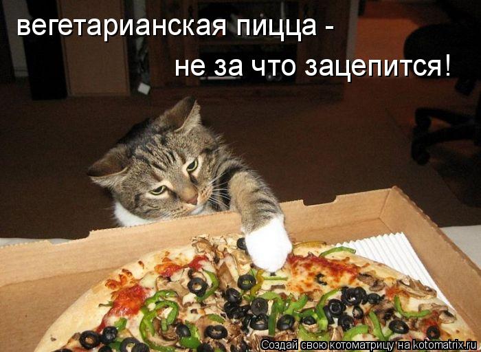 Котоматрица: вегетарианская пицца - не за что зацепится!