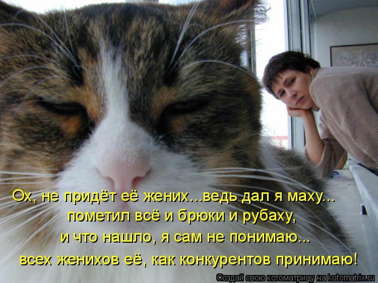 Котоматрица: Ох, не придёт её жених...ведь дал я маху... пометил всё и брюки и рубаху, и что нашло, я сам не понимаю... всех женихов её, как конкурентов принима