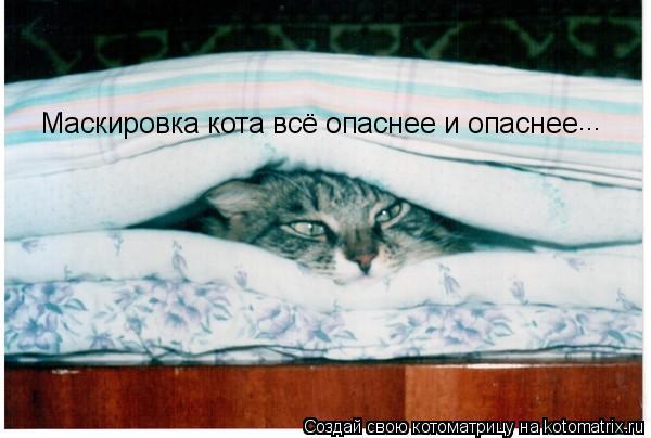 Котоматрица: Маскировка кота всё опаснее и опаснее ...