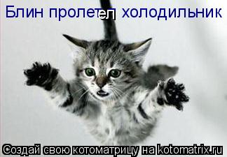 Котоматрица: Блин пролет л холодильник ел