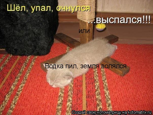 Котоматрица: Водка пил, земля волялся  или