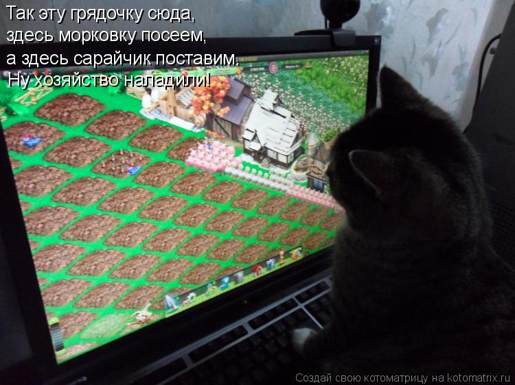 Котоматрица: Так эту грядочку сюда, здесь морковку посеем, а здесь сарайчик поставим. Ну хозяйство наладили!
