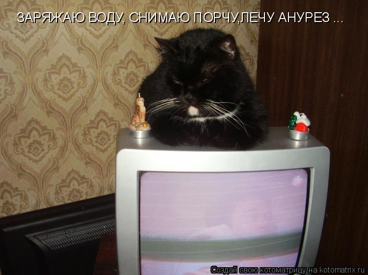 Котоматрица: ЗАРЯЖАЮ ВОДУ, СНИМАЮ ПОРЧУ,ЛЕЧУ АНУРЕЗ ...