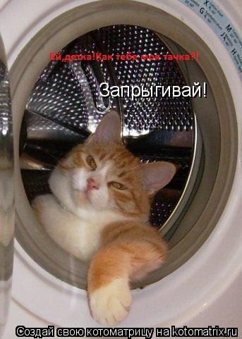Котоматрица: Запрыгивай!