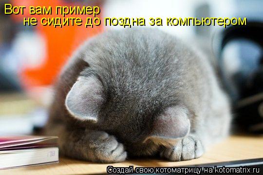 Котоматрица: Вот вам пример  не сидите до поздна за компьютером