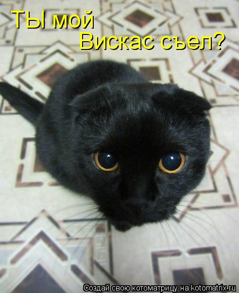 Котоматрица: Вискас съел? ТЫ мой