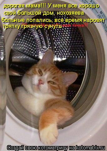 Котоматрица: дорогая мама!!! У меня все хорошо свой большой дом, нохозяева тряпку грязную сунуть больные попались, все время наровят