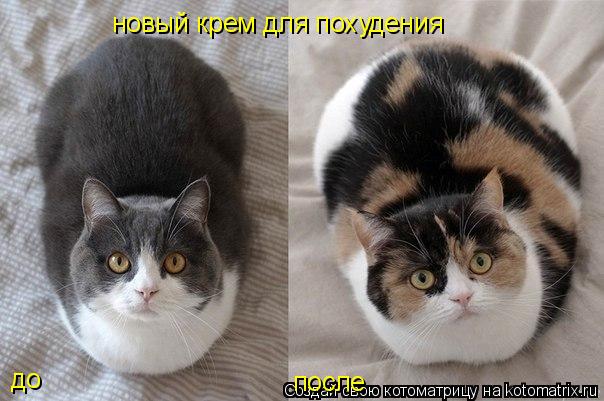 новый крем для похудения до после... Котоматрица: новый крем для похудения до после