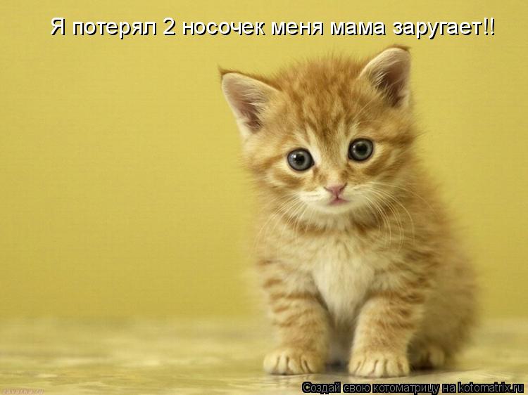 Я потерял 2 носочек меня мама заругает!!... Котоматрица: Я потерял 2 носочек меня мама заругает!!
