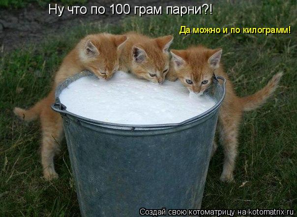 Ну что по 100 грам Ну что по 100 грам парни?! Да можно и по килограмм!... Котоматрица: Ну что по 100 грам Ну что по 100 грам парни?! Да можно и по килограмм!