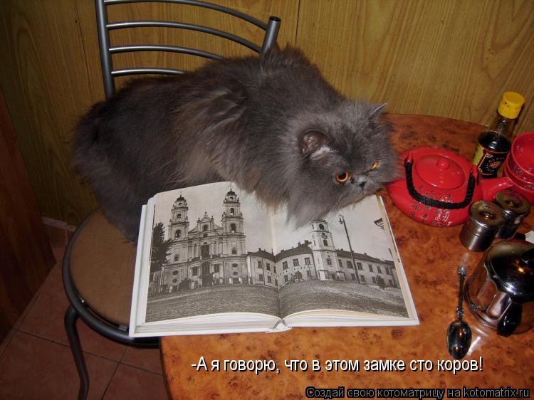 -А я говорю, что в этом замке сто коров!... Котоматрица: -А я говорю, что в этом замке сто коров!