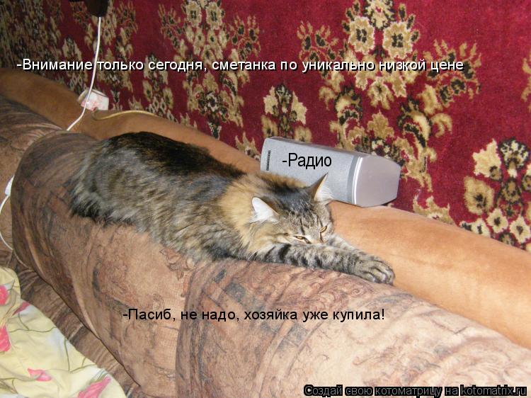 -Радио -Внимание только сегодня, сметанка по уникально низкой цене -Пасиб, не надо, хозяйка уже купил... Котоматрица: -Радио -Внимание только сегодня, сметанка по уникально низкой цене -Пасиб, не надо, хозяйка уже купила!