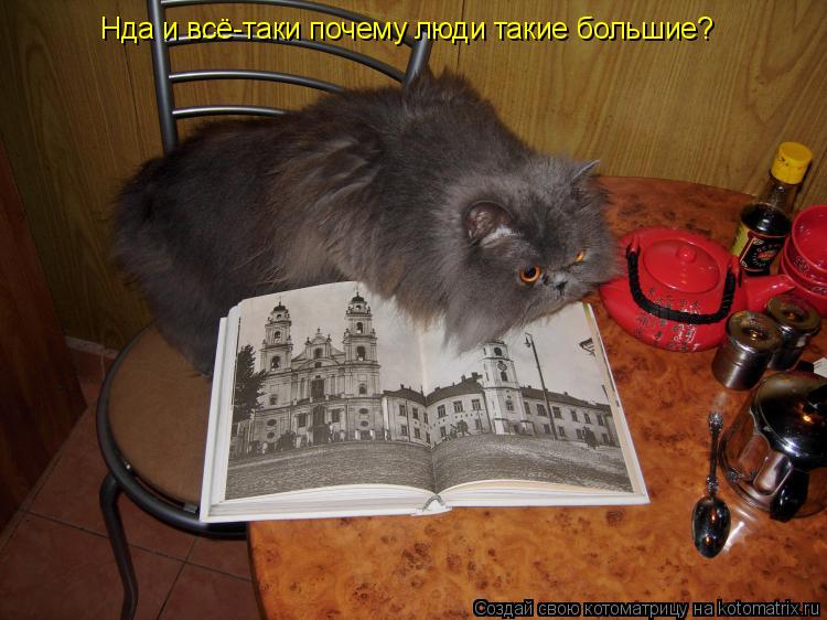 Нда и всё-таки почему люди такие большие?... Котоматрица: Нда и всё-таки почему люди такие большие?