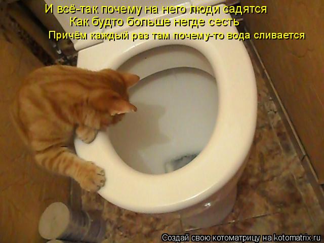 И всё-так почему на него люди садятся Как будто больше негде сесть Причём каждый раз там почему-то во... Котоматрица: И всё-так почему на него люди садятся Как будто больше негде сесть Причём каждый раз там почему-то вода сливается