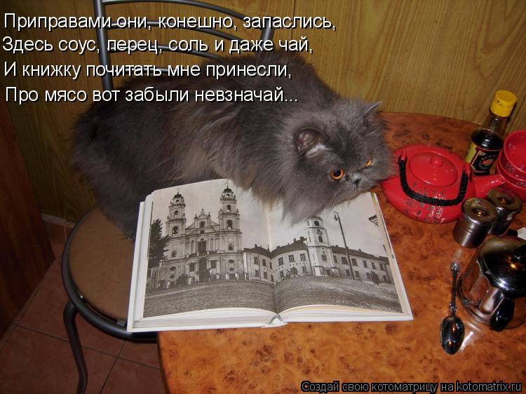 Приправами они, конешно, запаслись, Здесь соус, перец, соль и даже чай, И книжку почитать мне принесл... Котоматрица: Приправами они, конешно, запаслись, Здесь соус, перец, соль и даже чай, И книжку почитать мне принесли, Про мясо вот забыли невзначай...