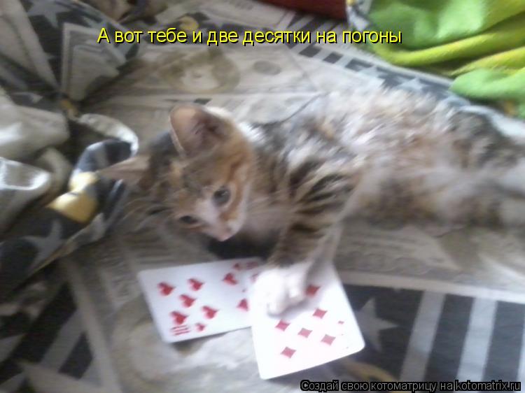 А вот тебе и две десятки на погоны... Котоматрица: А вот тебе и две десятки на погоны