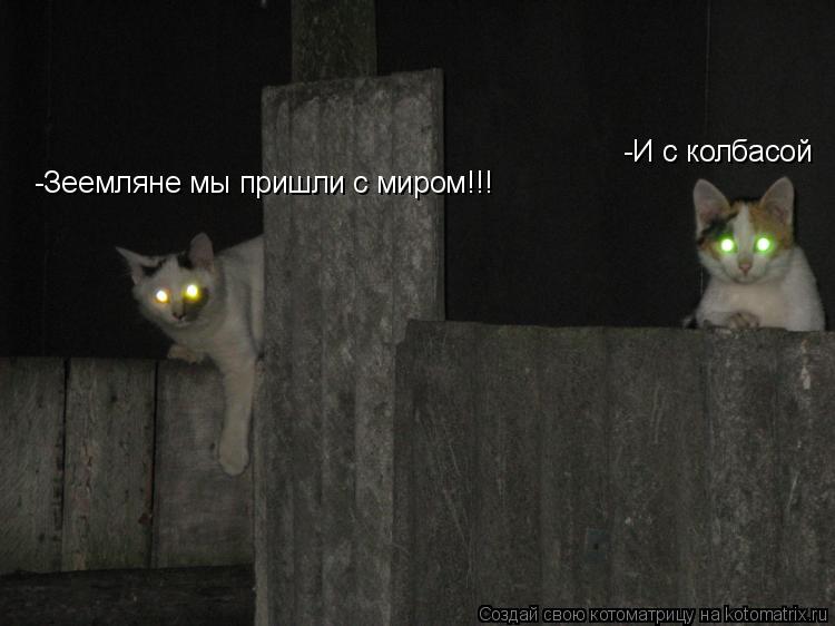 -Зеемляне мы пришли с миром!!! -И с колбасой... Котоматрица: -Зеемляне мы пришли с миром!!! -И с колбасой