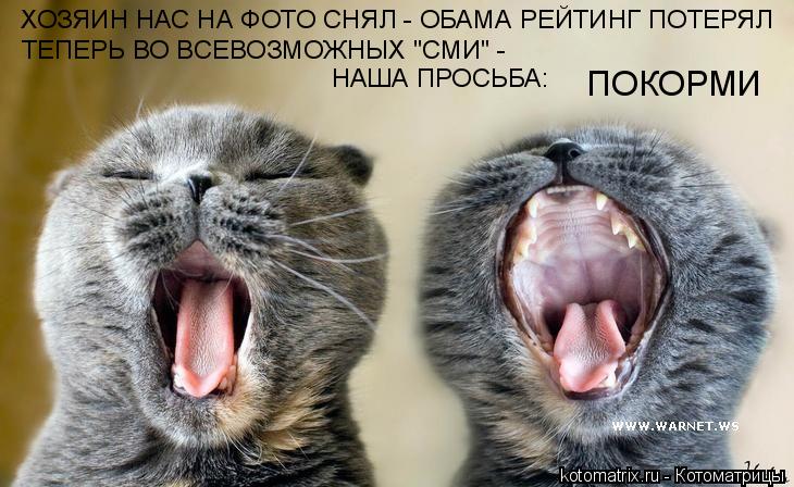 ХОЗЯИН НАС НА ФОТО СНЯЛ - ОБАМА РЕЙТИНГ ПОТЕРЯЛ ТЕПЕРЬ ВО ВСЕВОЗМОЖНЫХ "СМИ" - НАША ПРОСЬБА: ПОКОРМИ... Котоматрица: ХОЗЯИН НАС НА ФОТО СНЯЛ - ОБАМА РЕЙТИНГ ПОТЕРЯЛ ТЕПЕРЬ ВО ВСЕВОЗМОЖНЫХ "СМИ" - НАША ПРОСЬБА: ПОКОРМИ
