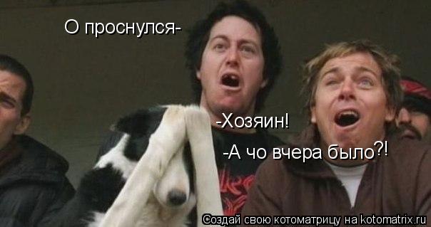-Хозяин! -А чо вчера было О проснулся- ?!... Котоматрица: -Хозяин! -А чо вчера было О проснулся- ?!