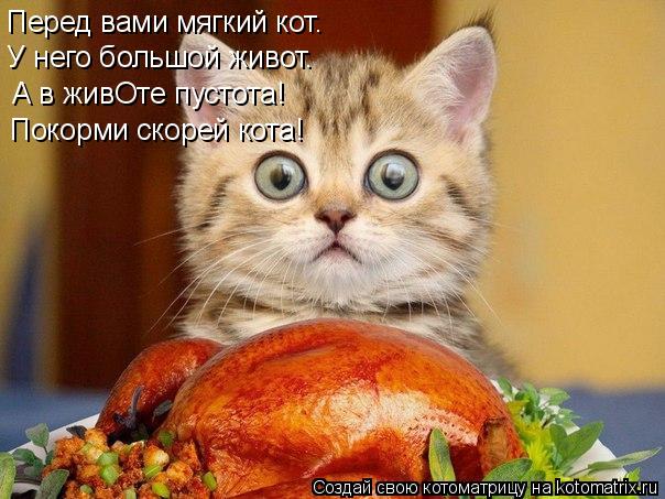 Перед вами мягкий кот. У него большой живот. А в живОте пустота! Покорми скорей кота!... Котоматрица: Перед вами мягкий кот. У него большой живот. А в живОте пустота! Покорми скорей кота!