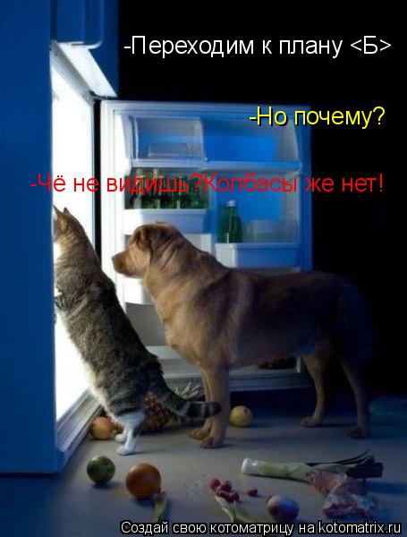 -Переходим к плану <Б> -Но почему? -Чё не видишь?Колбасы же нет!... Котоматрица: -Переходим к плану <Б> -Но почему? -Чё не видишь?Колбасы же нет!