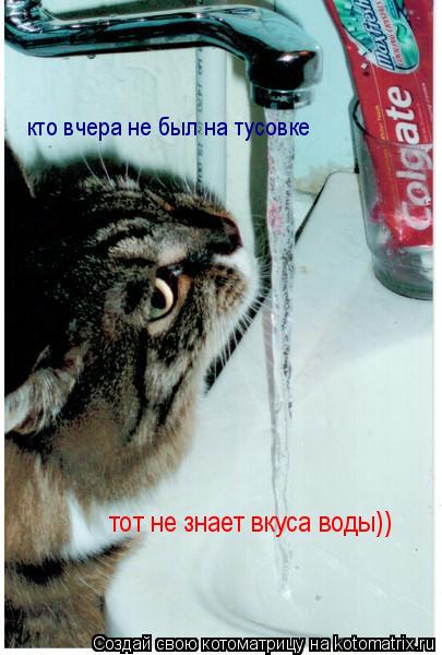 кто вчера не был на тусовке тот не знает вкуса воды))... Котоматрица: кто вчера не был на тусовке тот не знает вкуса воды))