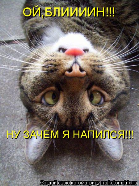 ОЙ,БЛИИИИН!!! НУ ЗАЧЕМ Я НАПИЛСЯ!!!... Котоматрица: ОЙ,БЛИИИИН!!! НУ ЗАЧЕМ Я НАПИЛСЯ!!!