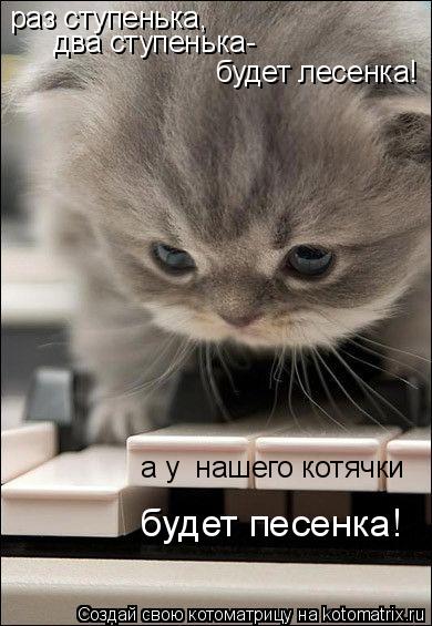 раз ступенька, два ступенька- будет лесенка! а у нашего котячки будет песенка!... Котоматрица: раз ступенька, два ступенька- будет лесенка! а у нашего котячки будет песенка!